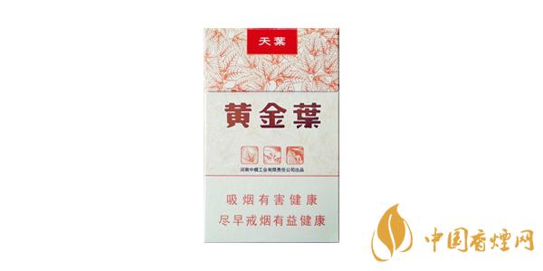 黃金葉天葉香煙好抽嗎 黃金葉天葉口感測評